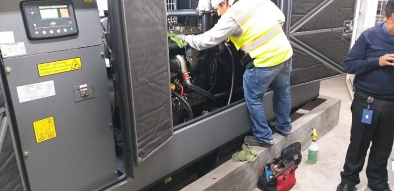 Planta de emergencia