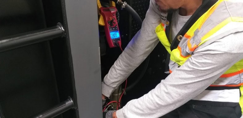 Planta de emergencia